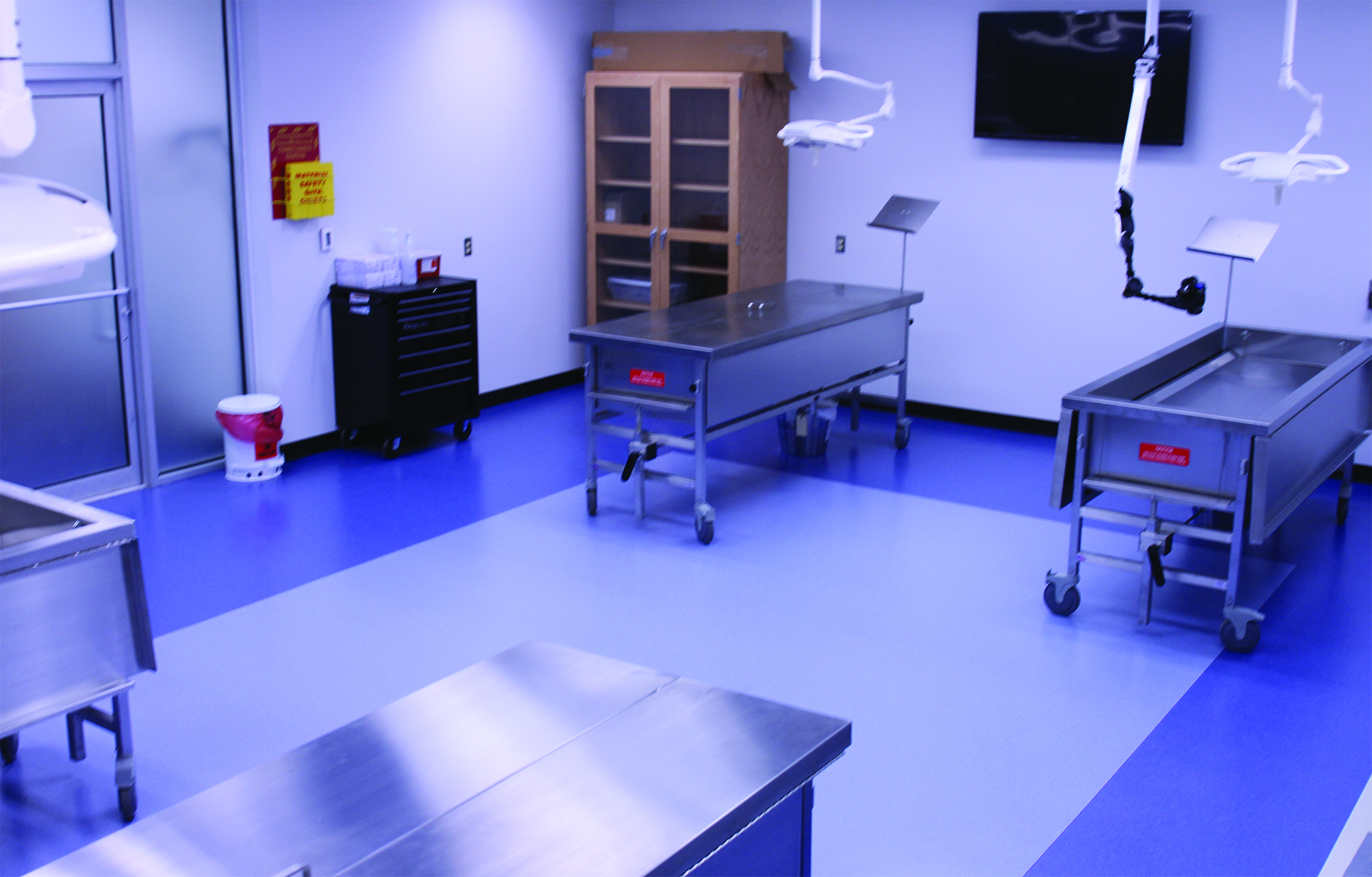 Cadaver Lab to Open this Summer