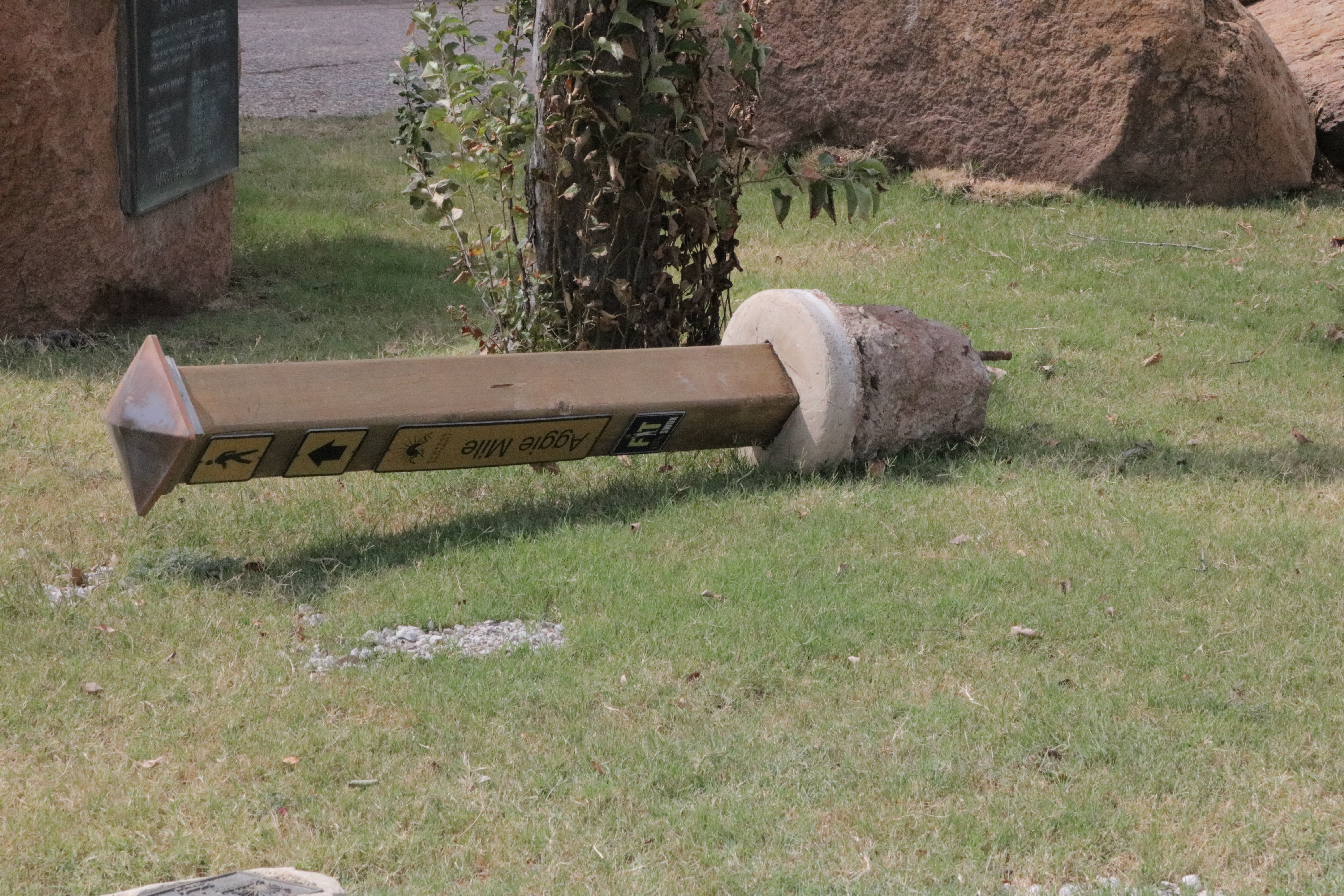 Cameron Park Restored with new Sewer Line