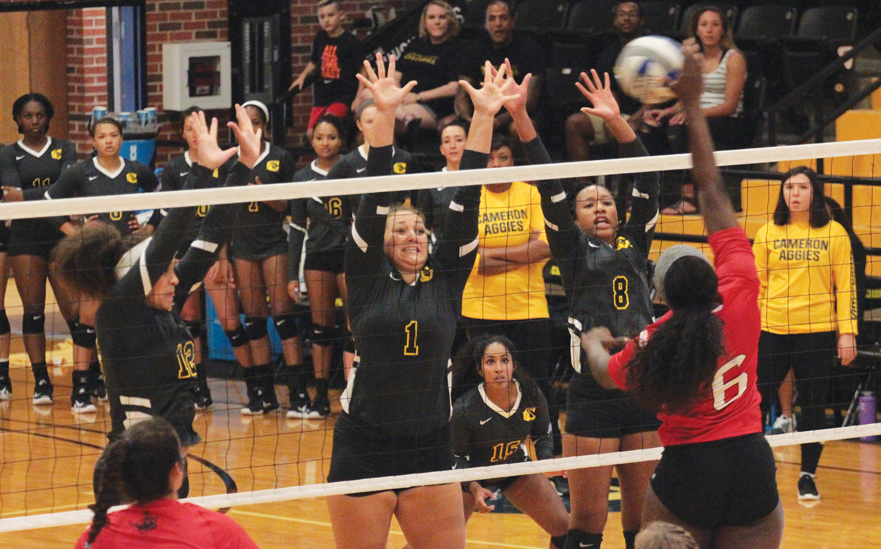 Aggies Sweep USAO