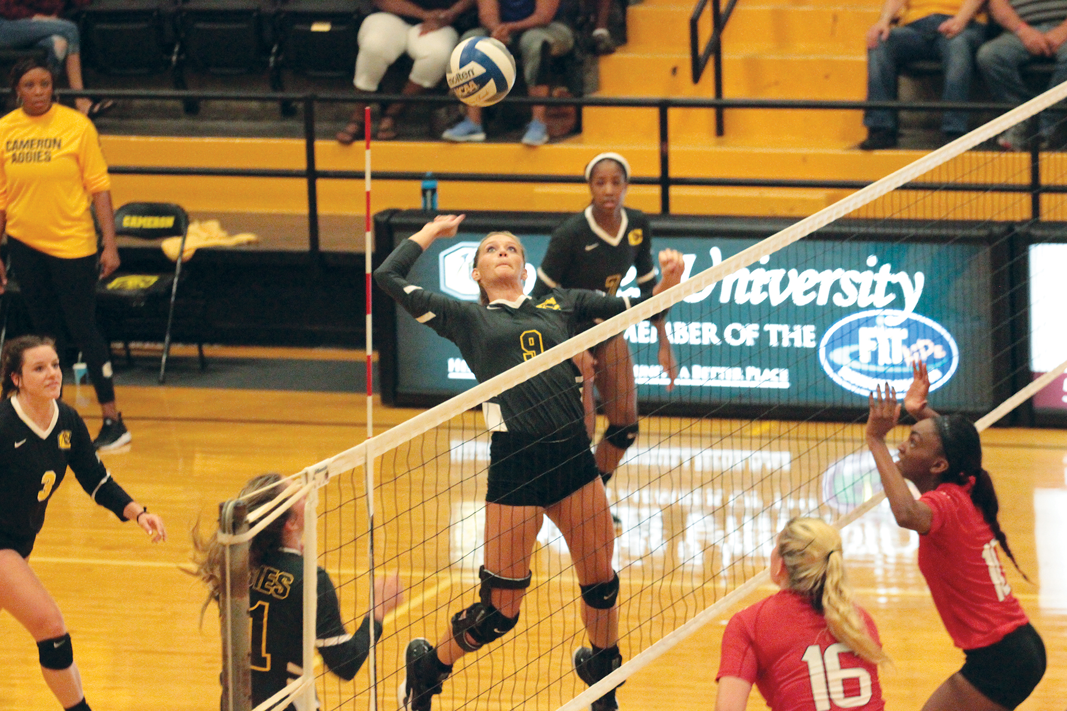 Volleyball Falters on Road