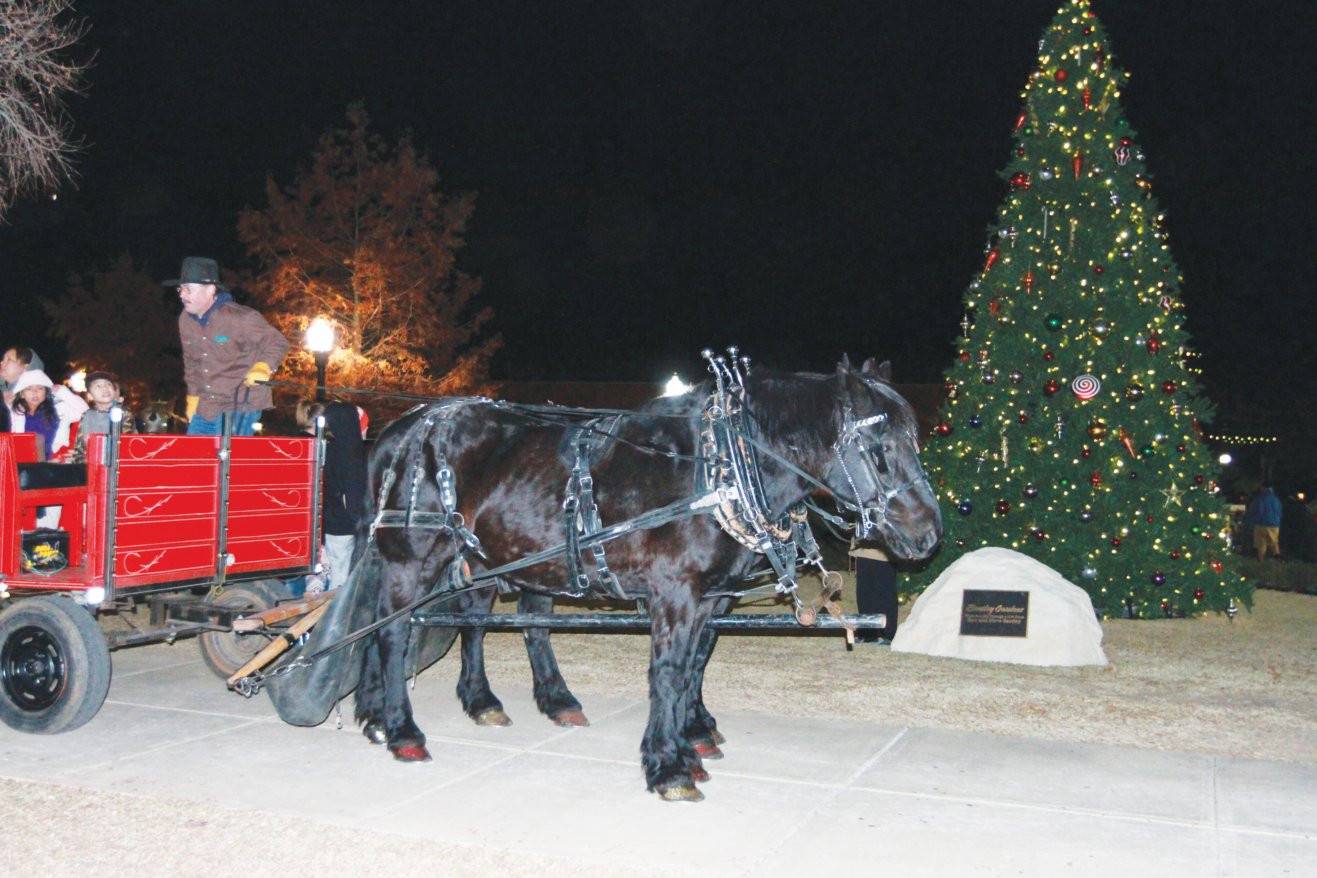 CU Hosts Tree Lighting