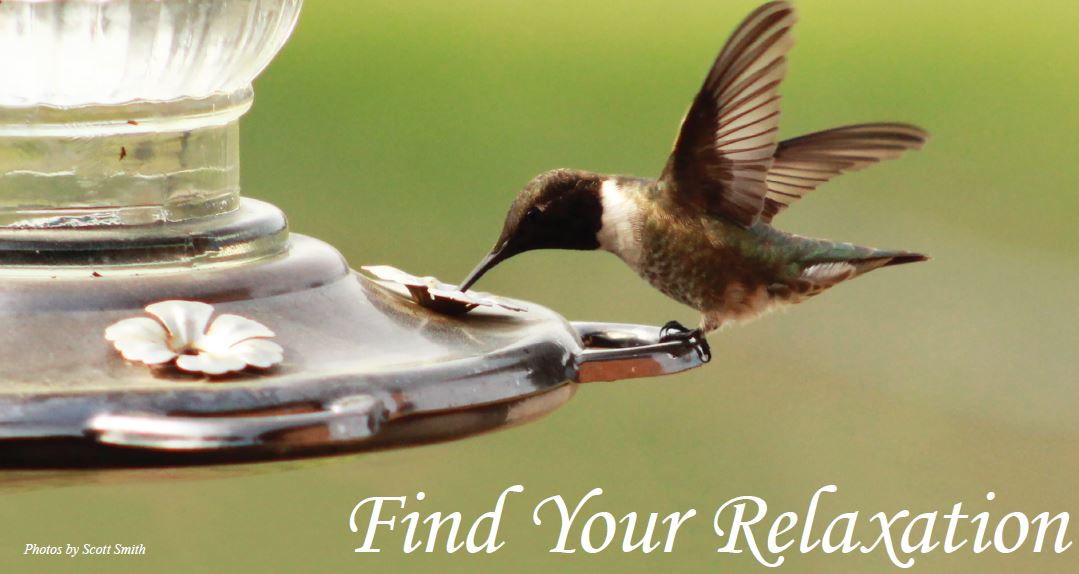 Find Your Relaxation: Nature photography brings peace of mind