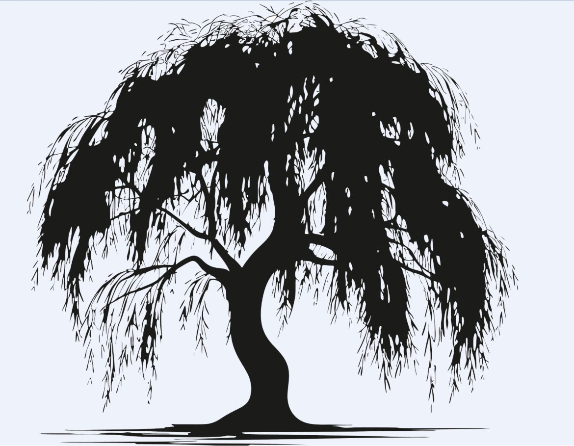 Willow Album Review: Petal Rock Black